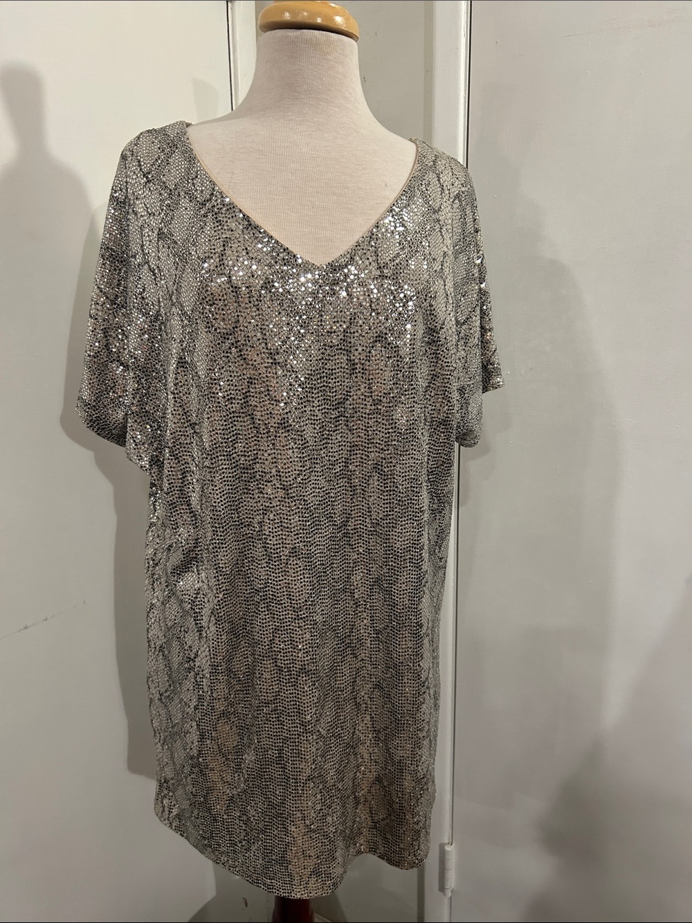 Adrienne Silver Sequin Mini Dress